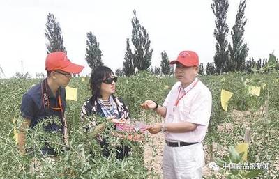 砥砺奋进看食业||立足林产食品 发展特色学科 “绿色”食品系抢占林业大健康产业高地_财经_网