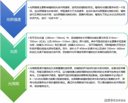 植物补光设备行业发展驱动因素及机遇挑战分析 附报告目录