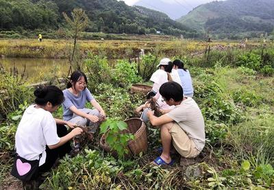 我校暑期“走进乡村,才能振兴乡村”系列实践活动火热开展