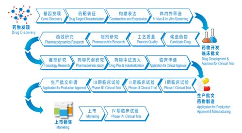 从 创仿结合 到 首发引领 浦东这个全产业链创新服务平台不一般