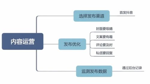 浅谈贵州铜仁短视频拍摄 贵州铜仁短视频运营整体策划 云图数说科技