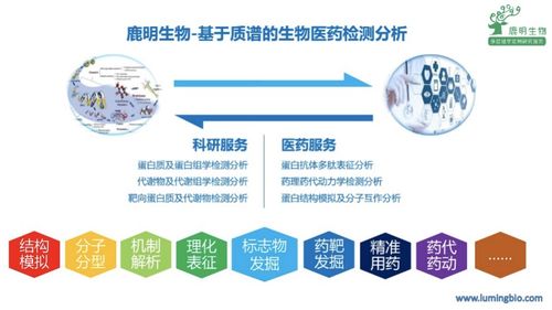 鹿明生物舒烈波 以质谱检测技术服务科学家和药企的 店小二